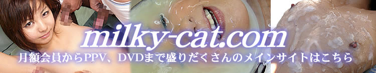 milky-cat.com